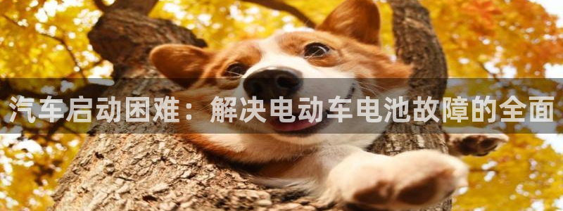 优发国际官网登录：汽车启动困难：解决电动车电池故障的全面