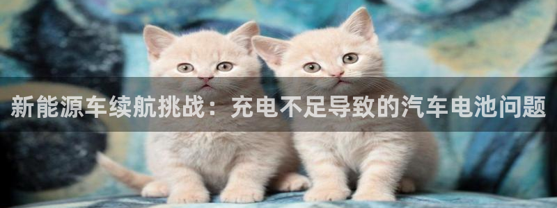 优发国际登陆：新能源车续航挑战：充电不足导致的汽车电池问题