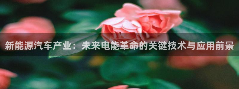 优发国际安卓版下载安装苹果：新能源汽车产业：未来电能革命的关键技术与应用前景