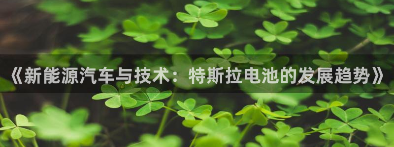 优发国际手机版客户端官网：《新能源汽车与技术：特斯拉电池的发展趋势》