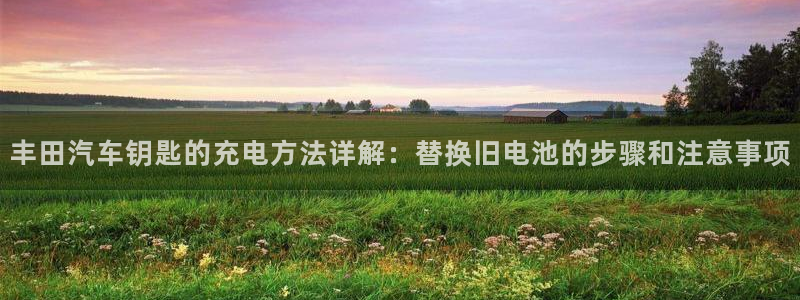 优发国际登录a：丰田汽车钥匙的充电方法详解：替换旧电池的步骤和注意事项