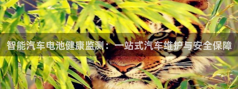 优发国际官网下载苹果版：智能汽车电池健康监测：一站式汽车维护与安全保障