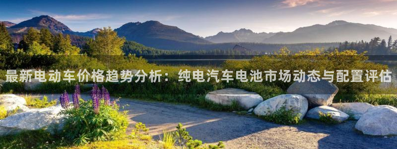 优发国际登录168：最新电动车价格趋势分析：纯电汽车电池市场动态与配置评估