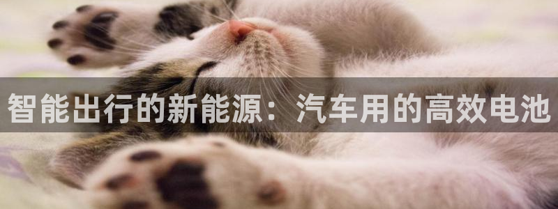 优发国际youfa966：智能出行的新能