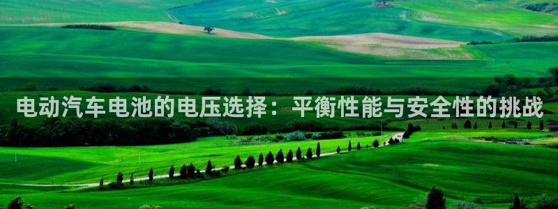 优发国际官网下载安装手机版：电动汽车电池的电压选择：平衡性能与安全性的挑战