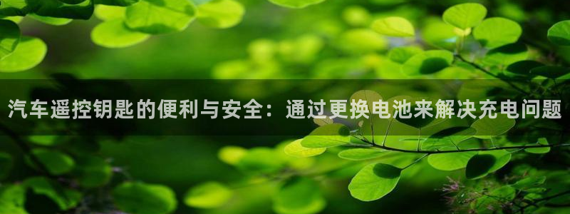 优发国际不出款了吗：汽车遥控钥匙的便利与安全：通过更换电池来解决充电问题