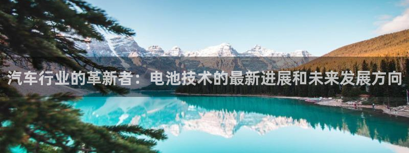 优发国际网站多少：汽车行业的革新者：电池技术的最新进展和未来发展方向