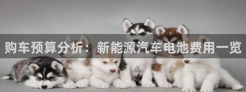 优发国际平台g8怎么样