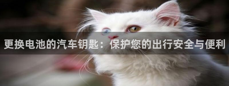 优发国际手机安装登录失败：更换电池的汽车钥匙：保护您的出行安全与便利