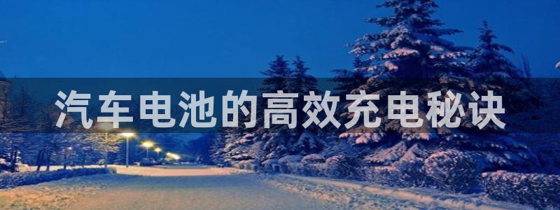 优发国际官网下载app：汽车电池的高效充电秘诀