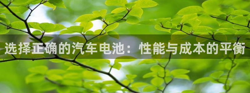 优发娱乐pc版官网：选择正确的汽车电池：性能与成本的平衡