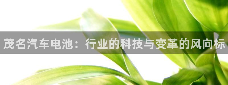 优发国际官方网手机版