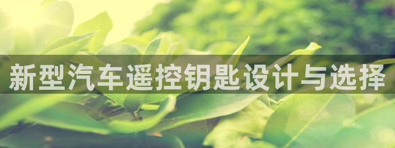 优发国际官网入口app下载苹果