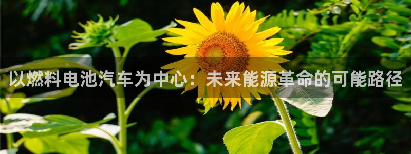 优发国际平台g80：以燃料电池汽车为中心：未来能源革命的可能路径