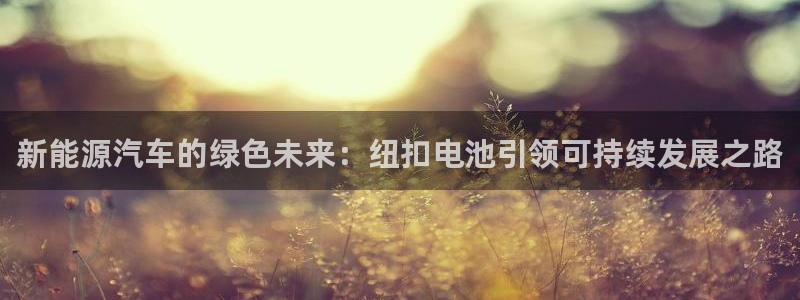 优发国际登录r8：新能源汽车的绿色未来：纽扣电池引领可持续发展之路