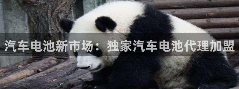 优发国际平台app下载官网：汽车电池新市场：独家汽车电池代理加盟