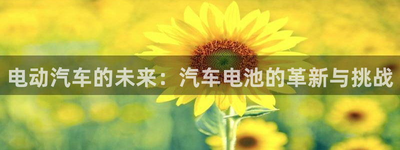 优发国际顶级：电动汽车的未来：汽车电池的革新与挑战