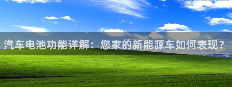 优发国际平台18岁能做吗：汽车电池功能详解：您家的新能源车如何表现？