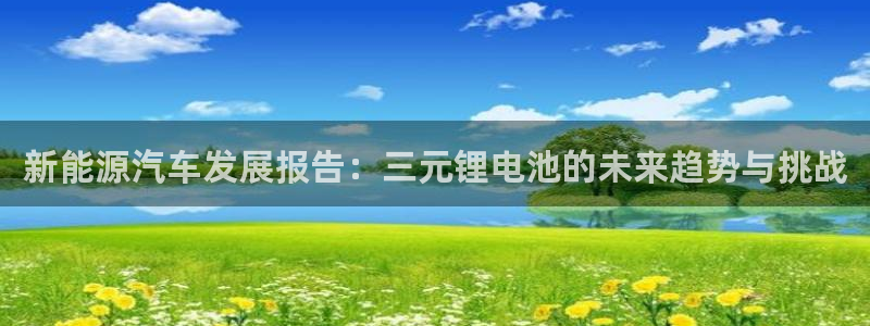 优发国际手机版官网下载：新能源汽车发展报告：三元锂电池的未来趋势与挑战