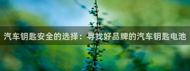 优发国际官方网手机版下载苹果：汽车钥匙安全的选择：寻找好品牌的汽车钥匙电池