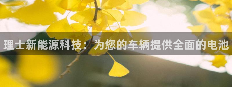 优发国际网站官网：理士新能源科技：为您的车辆提供全面的电池