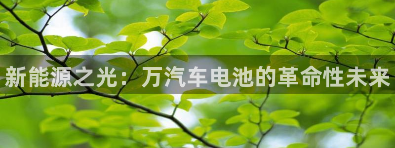 优发国际安卓版下载安装：新能源之光：万汽车电池的革命性未来