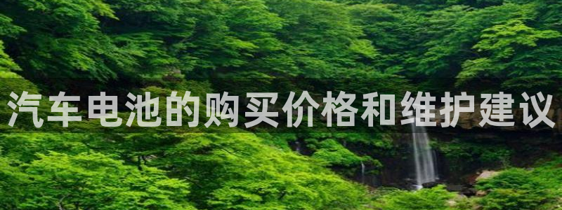 优发国际手机app下载安装苹果：汽车电池