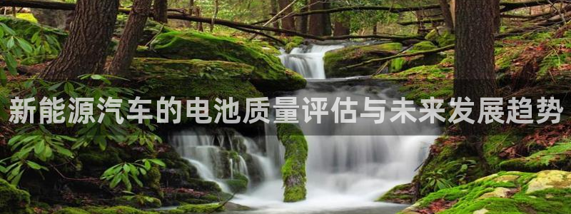 优发国际合并到哪里了最新消息：新能源汽车