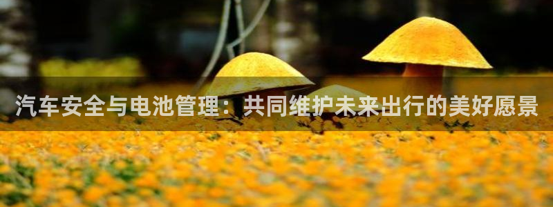 优发国际注册平台怎么样