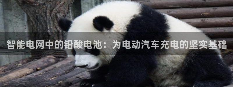 优发国际官方网手机版下载安卓