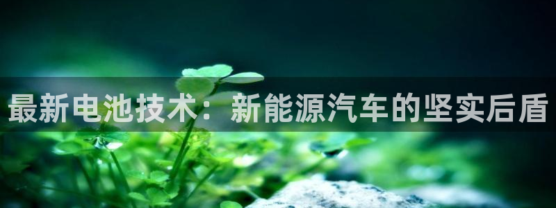 优发国际手机版官网入口：最新电池技术：新能源汽车的坚实后盾