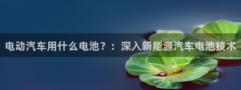 优发国际手机版客户端下载安装