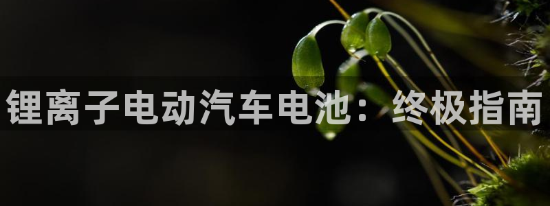 优发国际是大平台吗还是小平