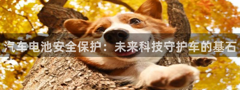 优发国际登录首页