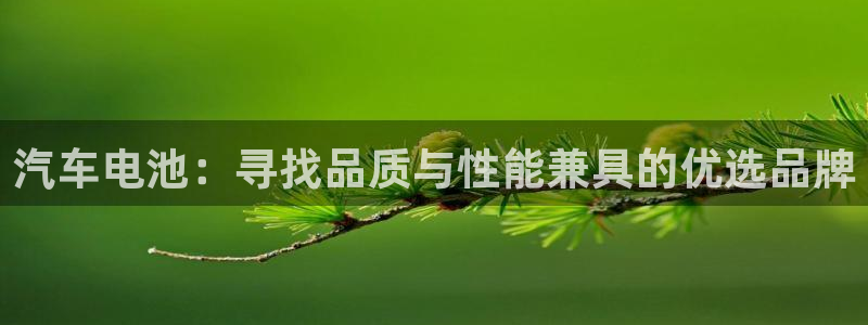 优发国际登陆：汽车电池：寻找品质与性能兼具的优选品牌