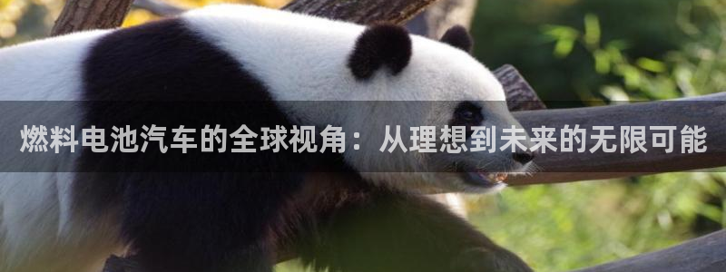 优发国际登录app