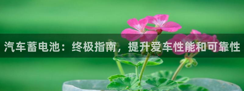 优发国际注册平台