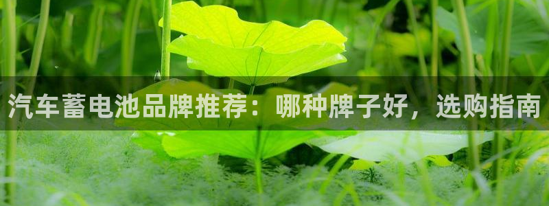 优发国际的官网是正品吗