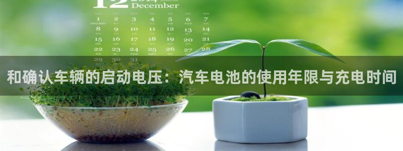 优发国际注册17