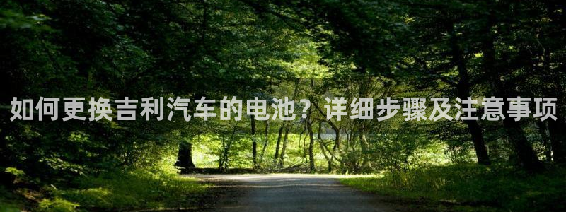 优发国际官网下载安装手机版：如何更换吉利汽车的电池？详细步骤及注意事项