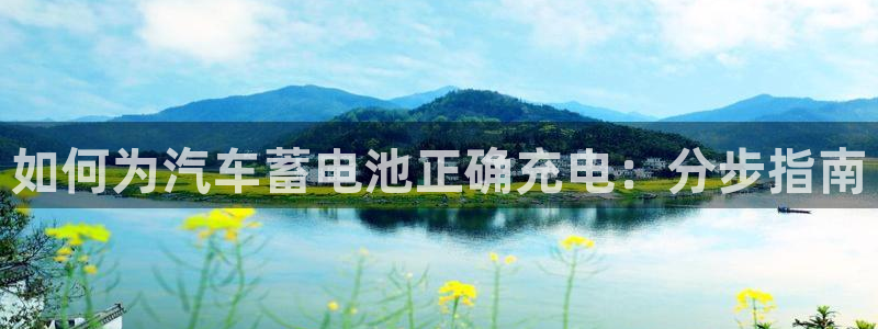 优发国际首页首页y6：如何为汽车蓄电池正确充电：分步指南