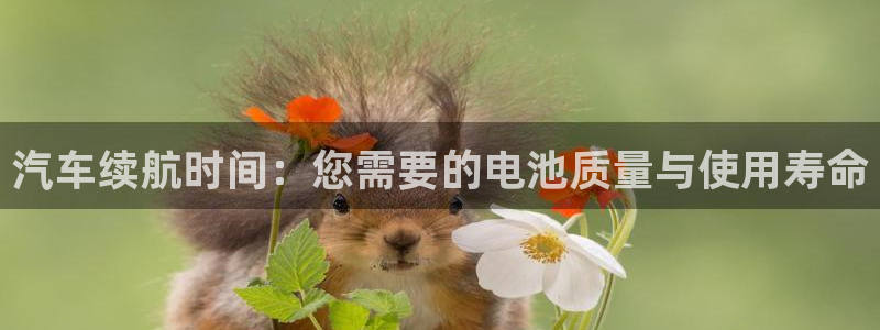 优发国际客服联系方式电话