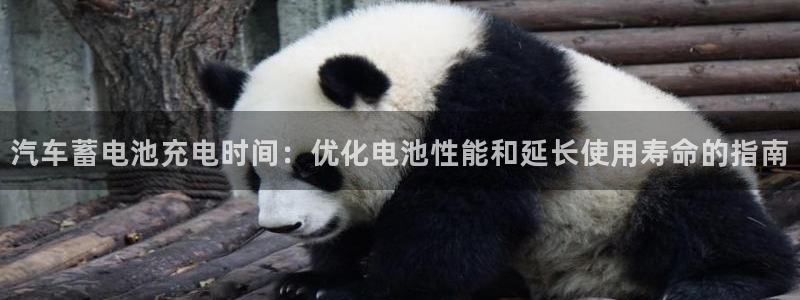 优发国际手机版下载安装：汽车蓄电池充电时间：优化电池性能和延长使用寿命的指南
