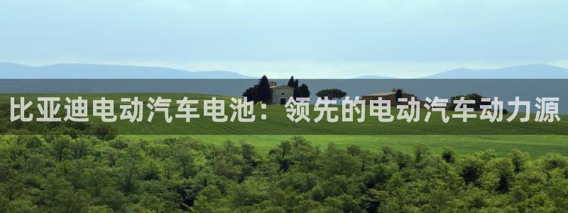 优发国际手机客户端官网下载：比亚迪电动汽车电池：领先的电动汽车动力源
